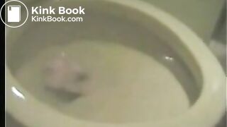 AnnaKuramoto PoopComp