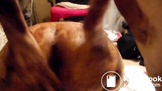 Mr Fog & Elle And Friend - 07