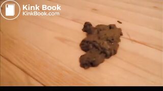 Shitting Standing Up