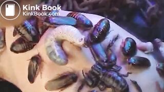 dgen-019 genki genki