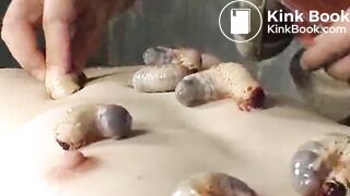 dgen-019 genki genki