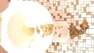 All Over Toilet And Floor