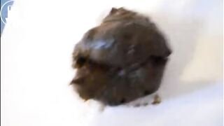 Girl Poops On Her Bed