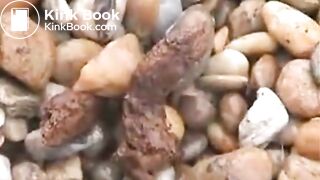 Woman Taking Dump Next To Busy Highway