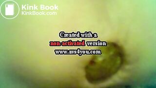 aubergine et lolette