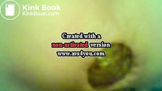 aubergine et lolette