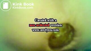 aubergine et lolette