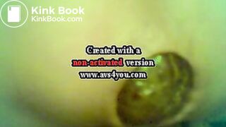 aubergine et lolette