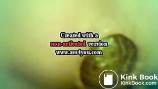 aubergine et lolette