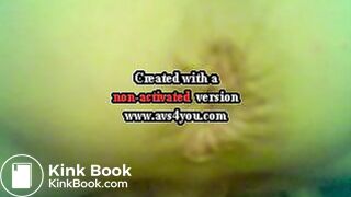 aubergine et lolette