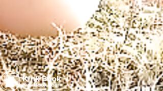 03029-kpf