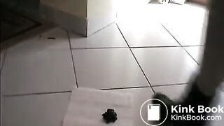 Pretty amateur chick shits on the toilet paper - Scat Video Collection