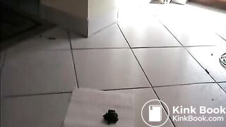 Pretty amateur chick shits on the toilet paper - Scat Video Collection