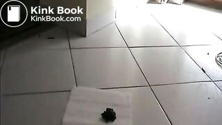 Pretty amateur chick shits on the toilet paper - Scat Video Collection