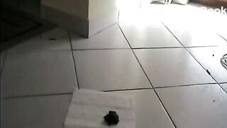 Pretty amateur chick shits on the toilet paper - Scat Video Collection