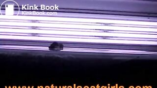 Scat Shit in Sun Studio - HardSexTube - Free Porn, Sex Moviesflv