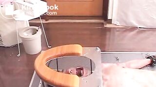 SG26_ScatToilet_11
