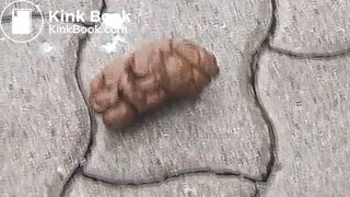 natural-scat