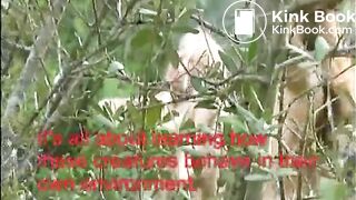 Joy Angeles - Wild Girls Shitting in the Woods