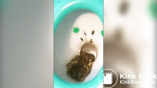 Shit in friends toilet