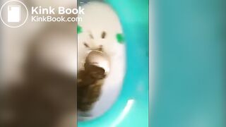 Shit in friends toilet