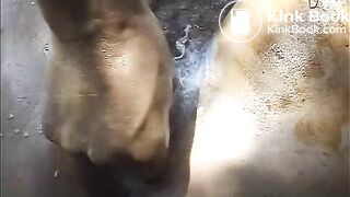 Brutal Shitty Apple Insertion