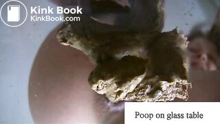 poop on glass table