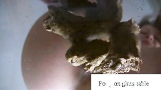 poop on glass table