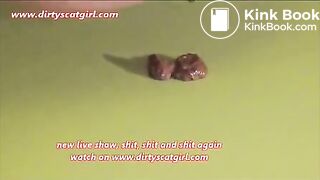 shit, shit and shit again