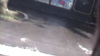 natural-scat