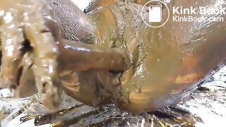 Gorgeous Toilet Whore