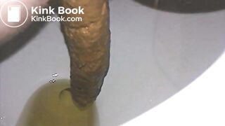 A long hard turd from wife