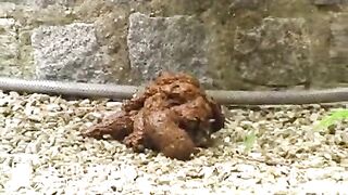 EroProfile - Mature in Red smoking and shitting