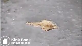 The Everything Club - Sandra 5 of 7flv