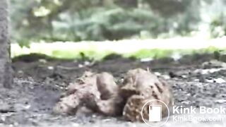 Alternative German's Outdoor Scat