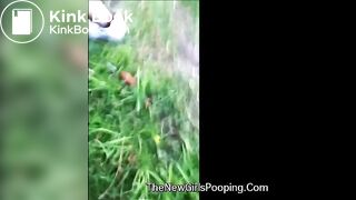 Amador - Paloma cagando na rua