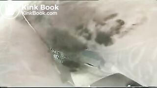 Shit lovers - pervert video_2