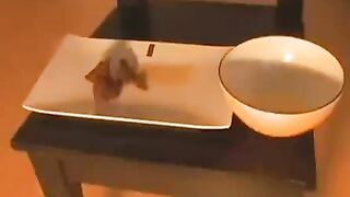 showing off ass and pooping