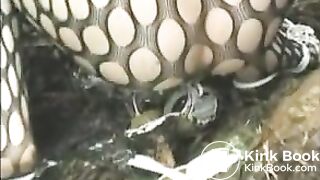 four girls one ladder - jp classic