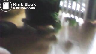 3 shitpigs relaxing 9 24 11