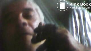 3 shitpigs relaxing 9 24 11