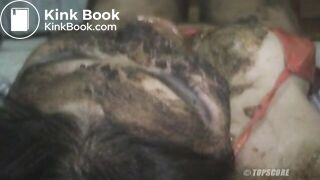 ssd2402_Shitty, Shitty, Crap, Crap