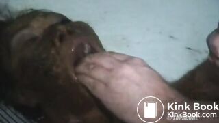 ssd2402_Shitty, Shitty, Crap, Crap