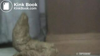 ssd2402_Shitty, Shitty, Crap, Crap