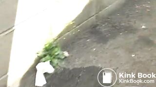 Asian outdoor scat 5