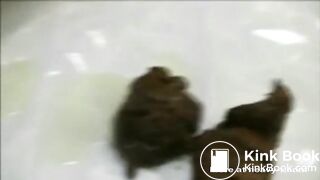 Lady Fucking In The Office