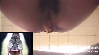 Japanese Toilet Cam