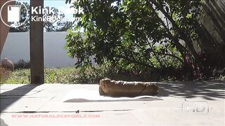 amateur girl pooping - Scat + Piss + Puke