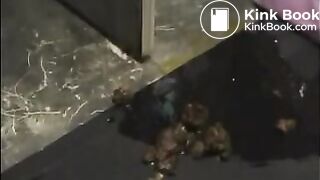 Japanese Woman Panty Poop 01