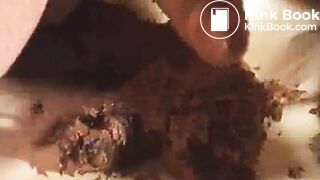 Scat - Passionate Shitwank